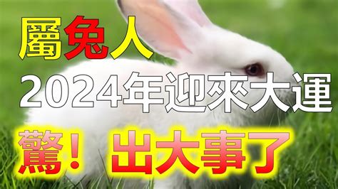 2024生肖兔運勢|屬兔2024運勢丨屬兔增運顏色、開運飾物、犯太歲化。